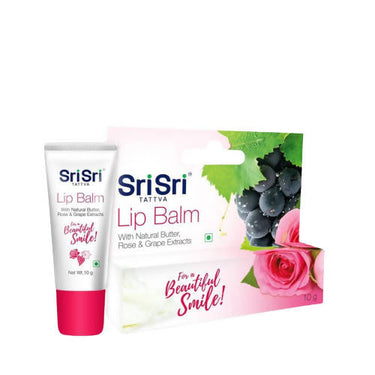 https://cdn.shopify.com/s/files/1/1857/6931/products/7REWXJCNYV.jpg?v=1639215634